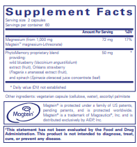 CogniMag: Magnesium L-Threonate